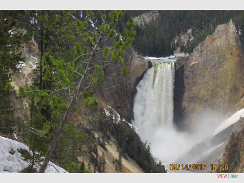 montana011