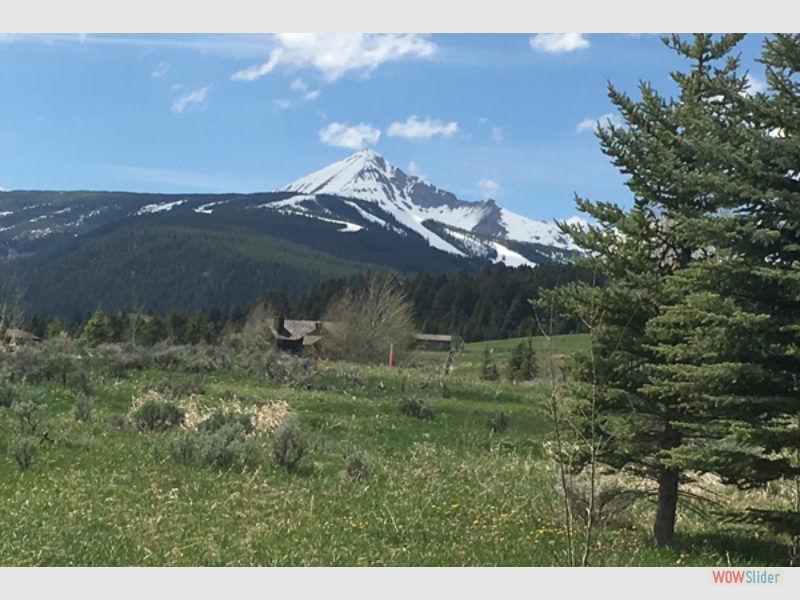 montana014