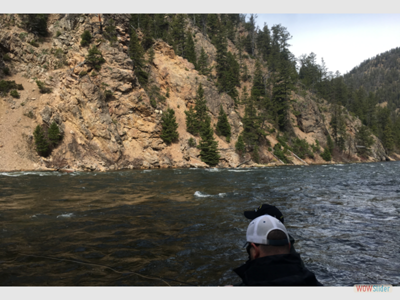 montana019