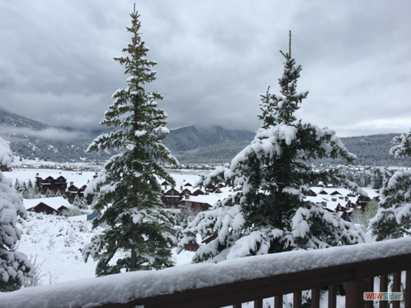 montana025