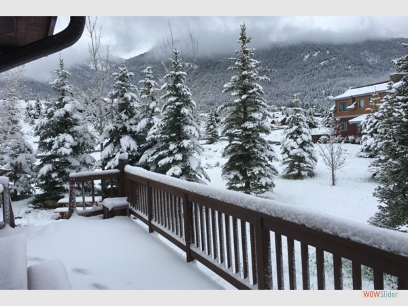 montana026