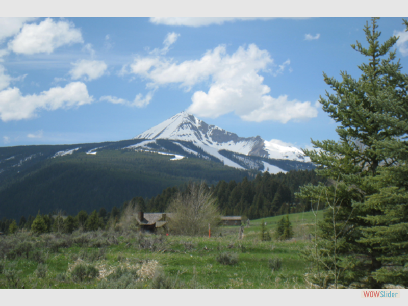 montana028