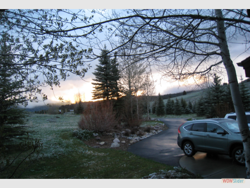 montana031