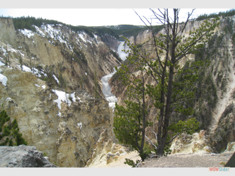 montana037