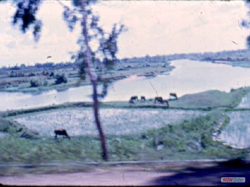 Beahm_053