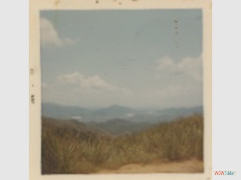 Best_009