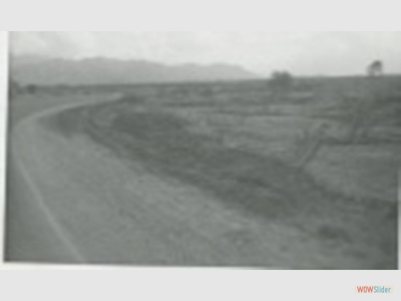 Best_035