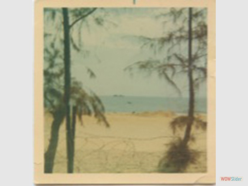 Best_043