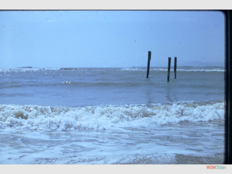 Dondero00011