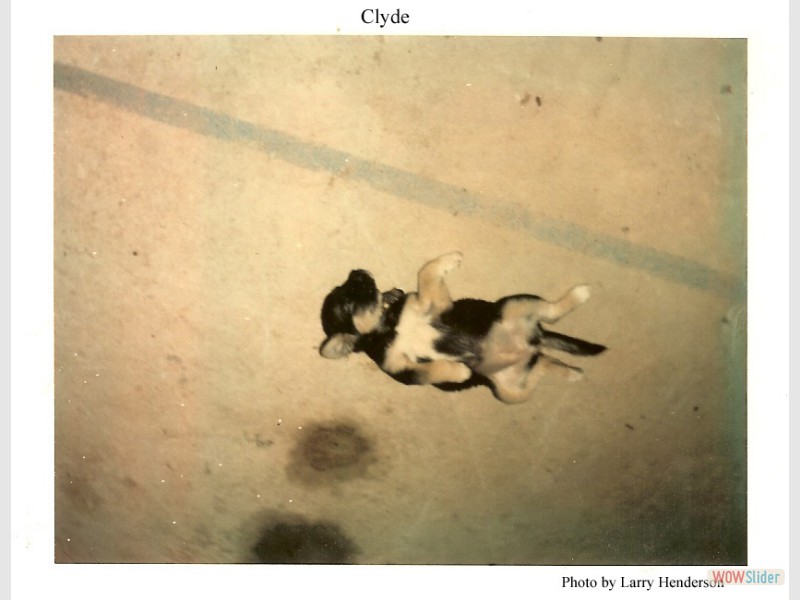 Clyde