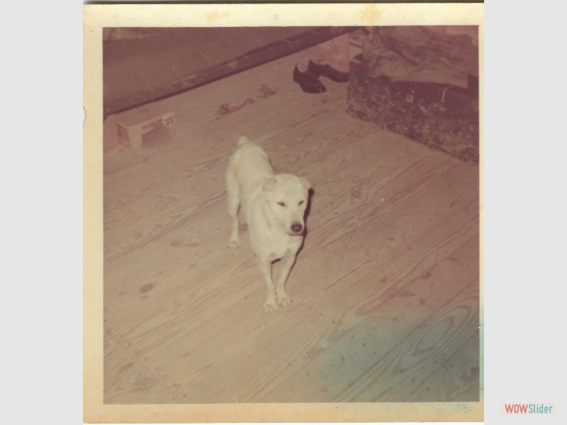 lucas034