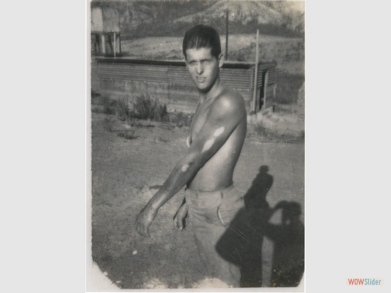 Steck Scan 5