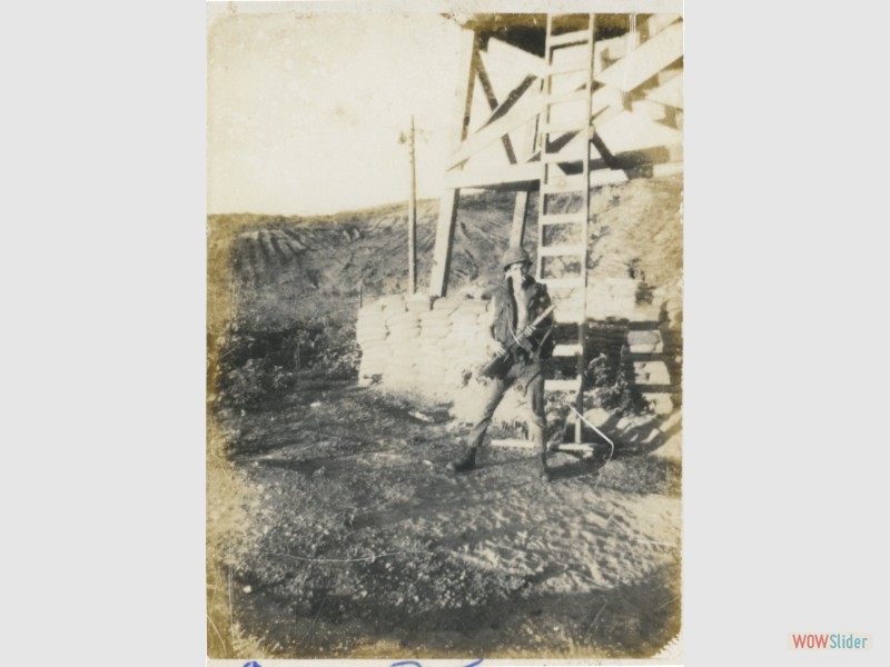 Steck Scan 6