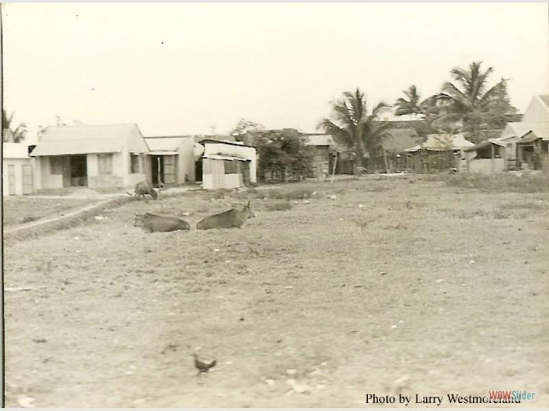 Village 4 copy