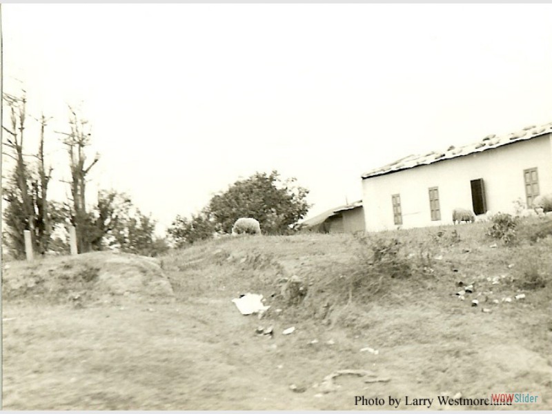 Village again copy